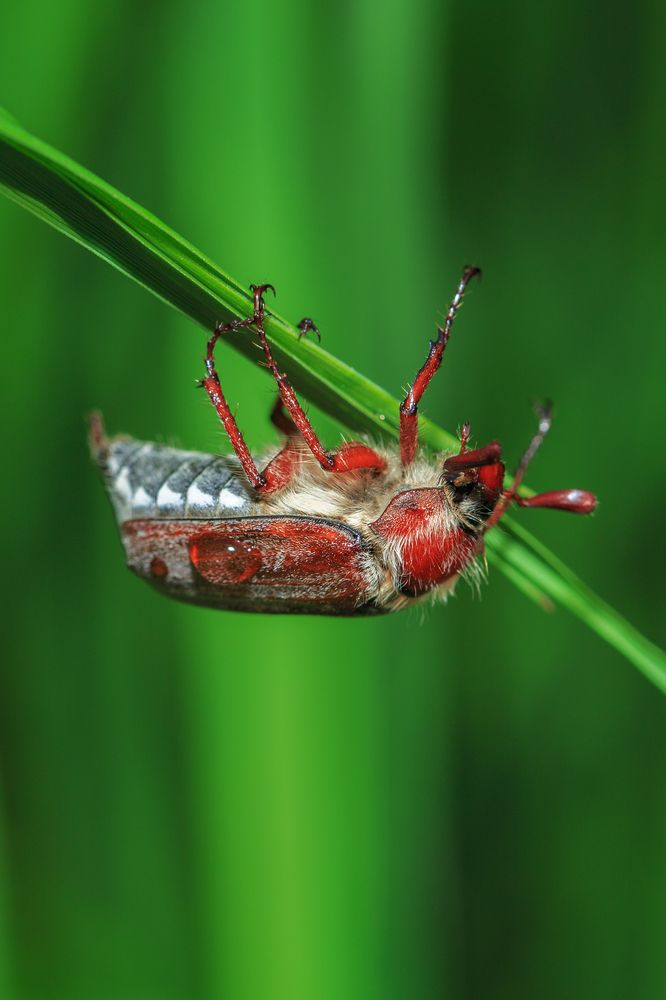 Photograph by Михаил