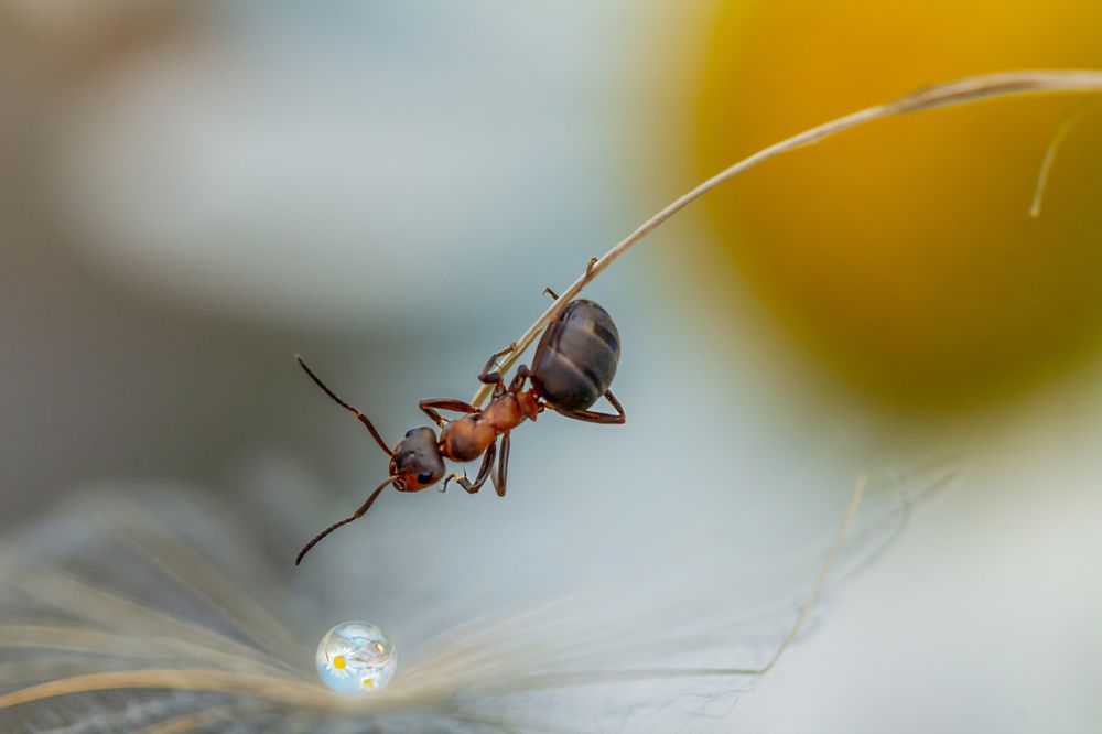 Путешествие в сказку