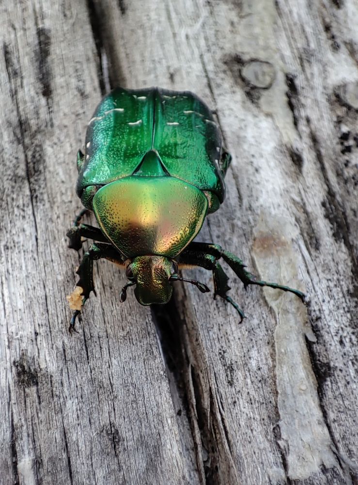 Фотография автора Виталий Медведь