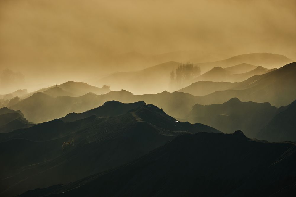 Photograph by Mujibur Rohman