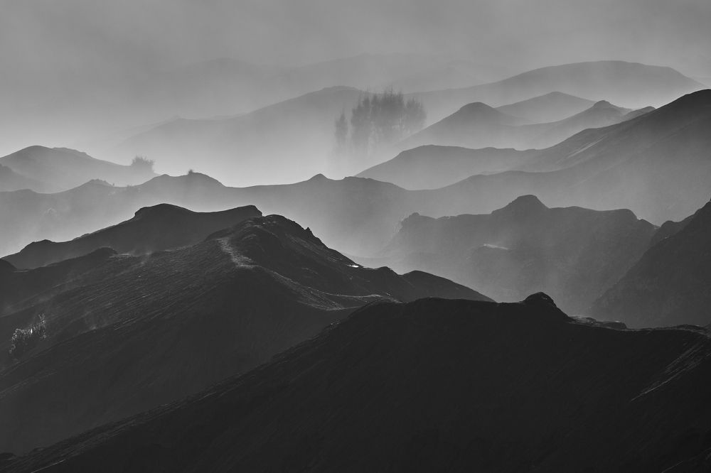 Photograph by Mujibur Rohman