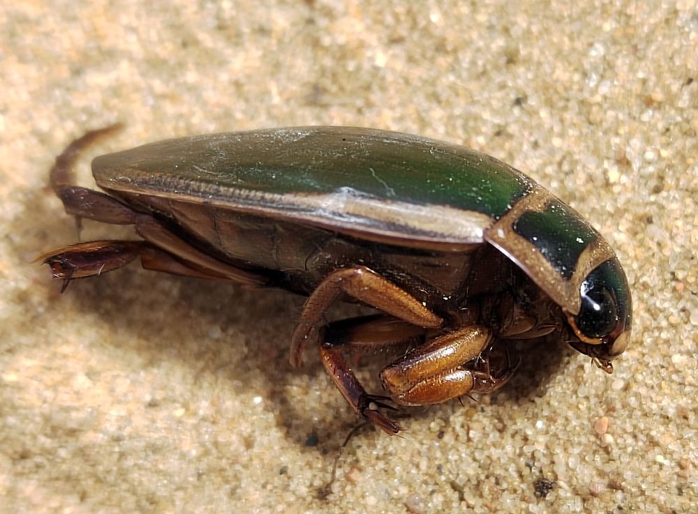 Photograph by Екатерина Слепнева