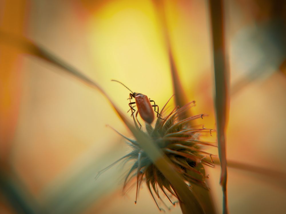 Photograph by Екатерина Слепнева