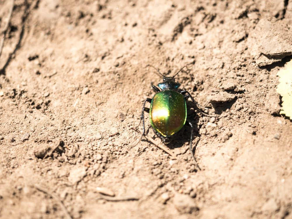 Photograph by Юрий Степанов