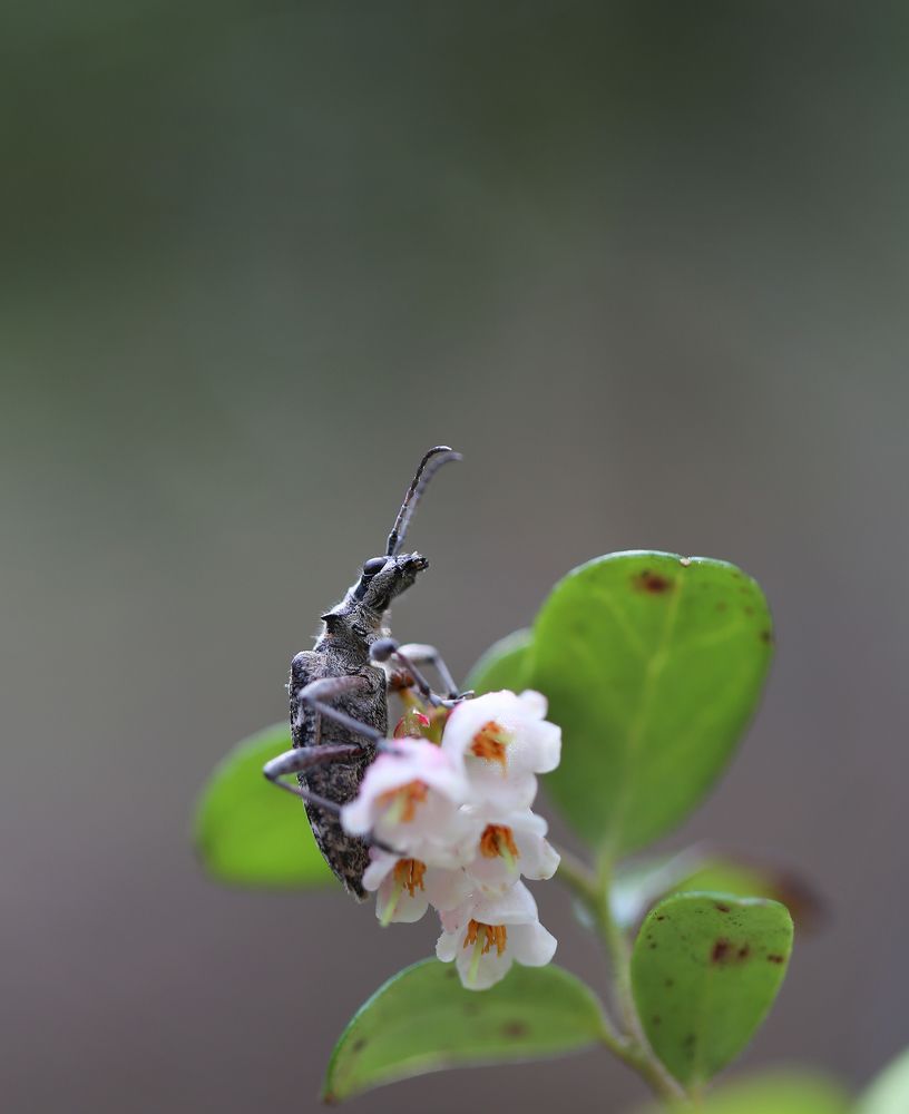 Photograph by Евгения Левина