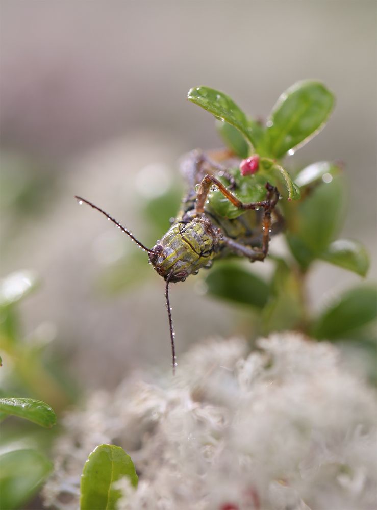 Photograph by Евгения Левина
