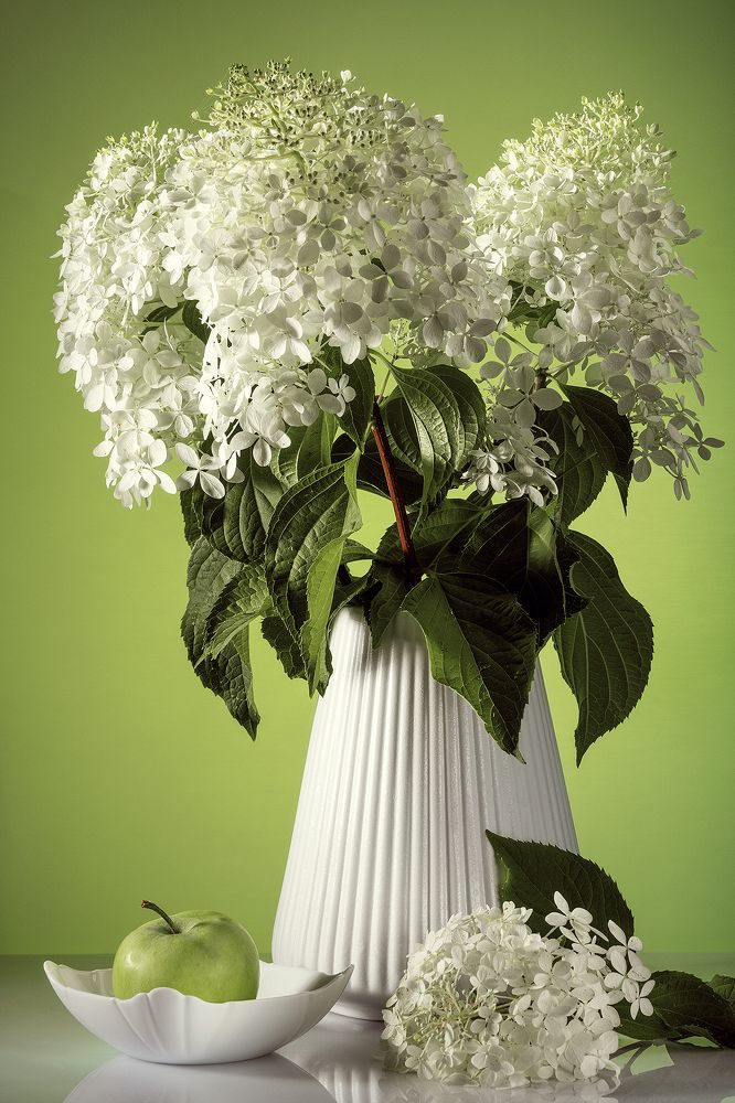 Photograph by Сергей Морозов