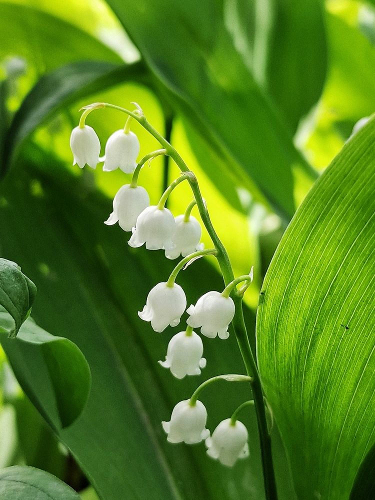 Photograph by Любовь Толстова