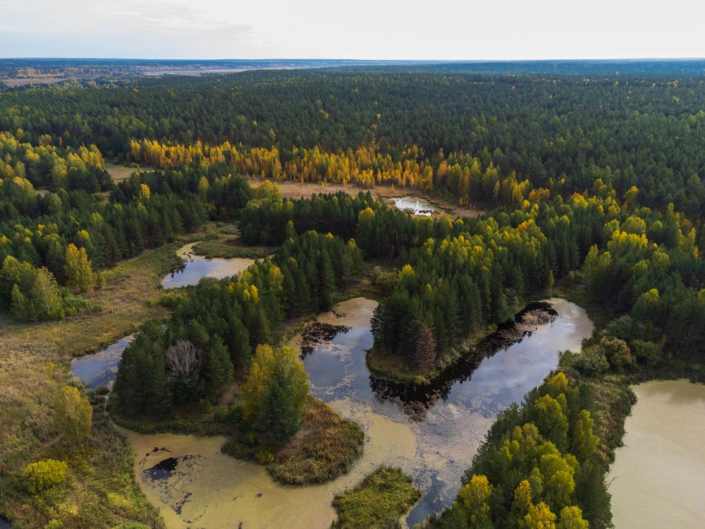 Photograph by Юрий