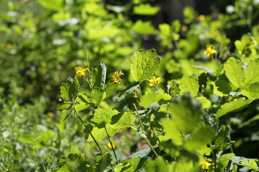 Photograph by Марина Савченко