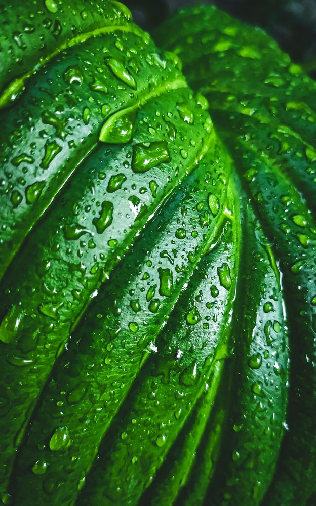 Фотография автора Кристина Шефер