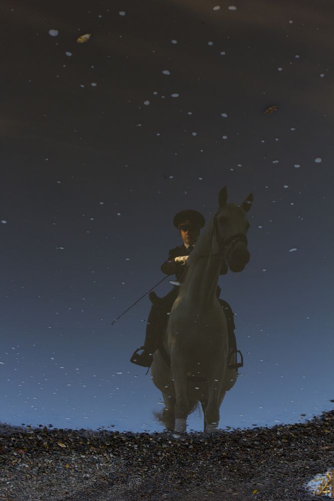 Photograph by Максим Щукин