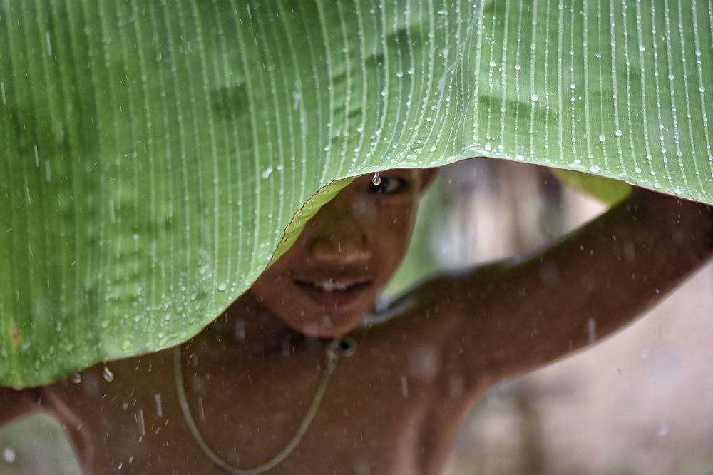Фотография автора Dipayan Debbarma