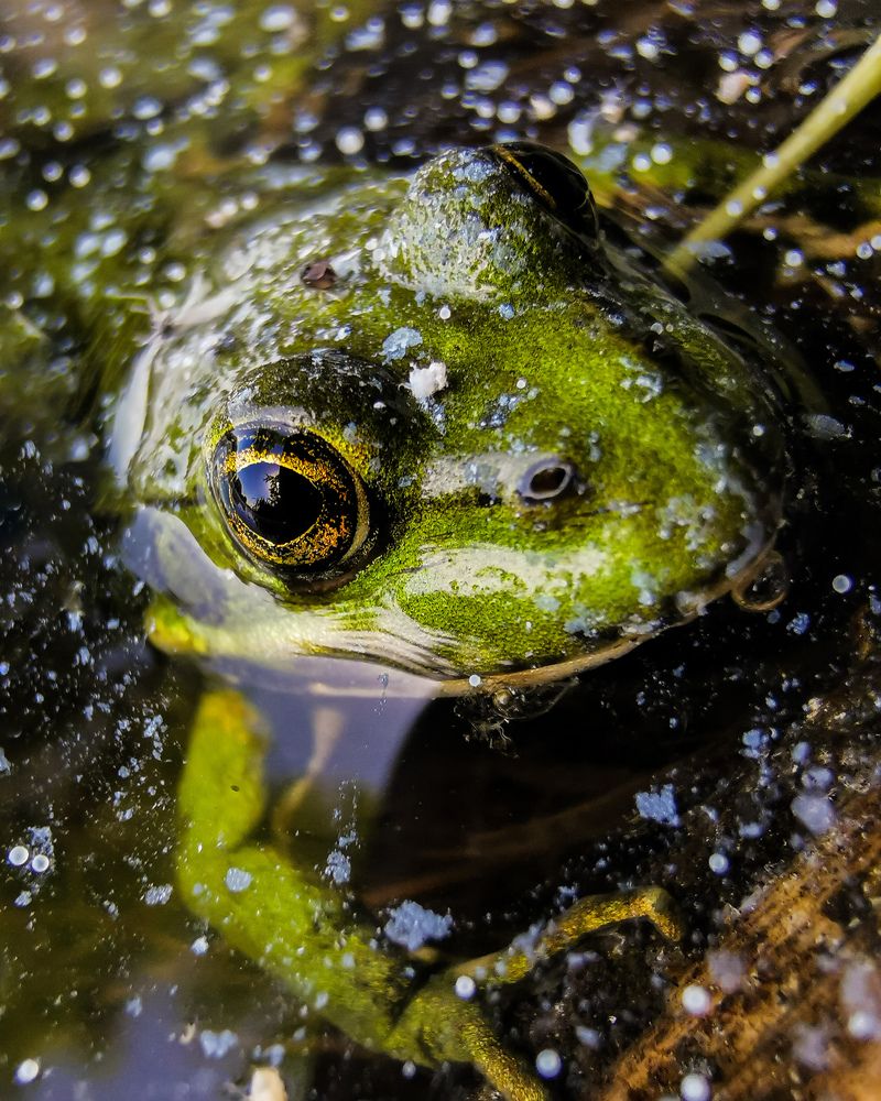 Photograph by Дмитрий