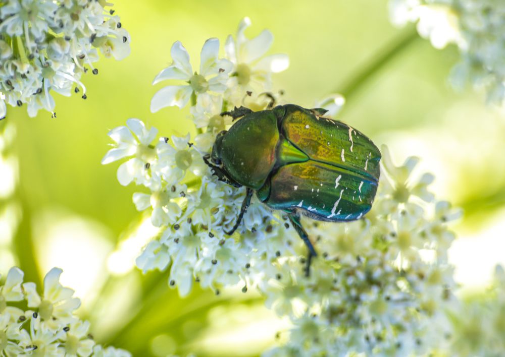Photograph by Сергей Савчук