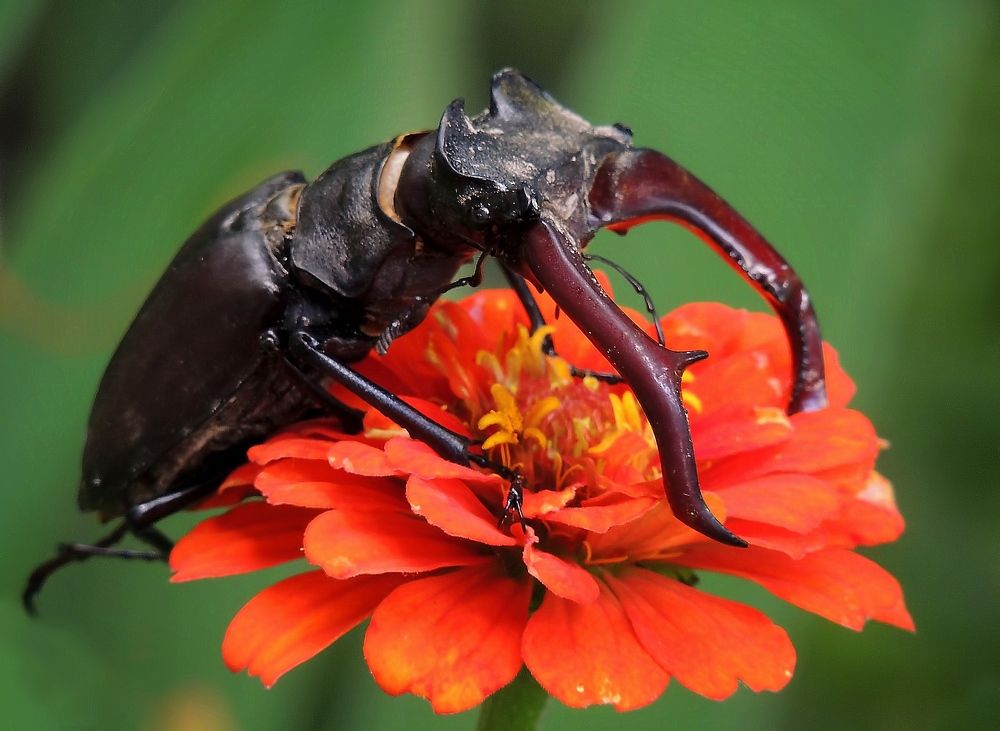 Photograph by Савоцкий Роман