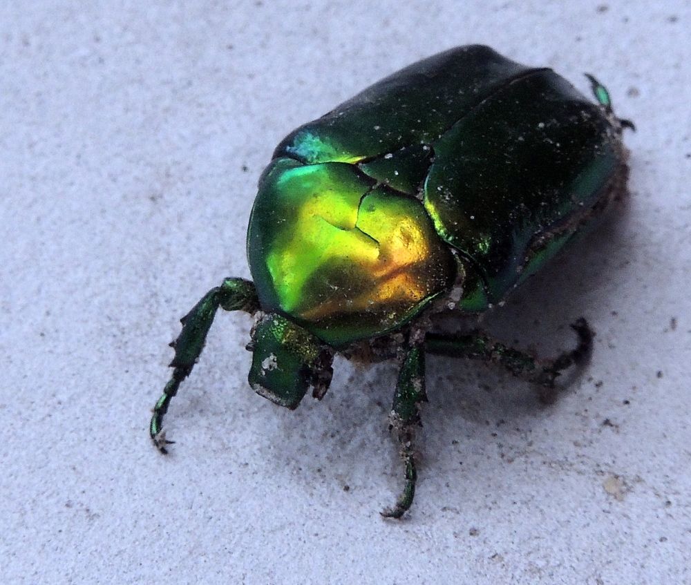 Photograph by Савоцкий Роман