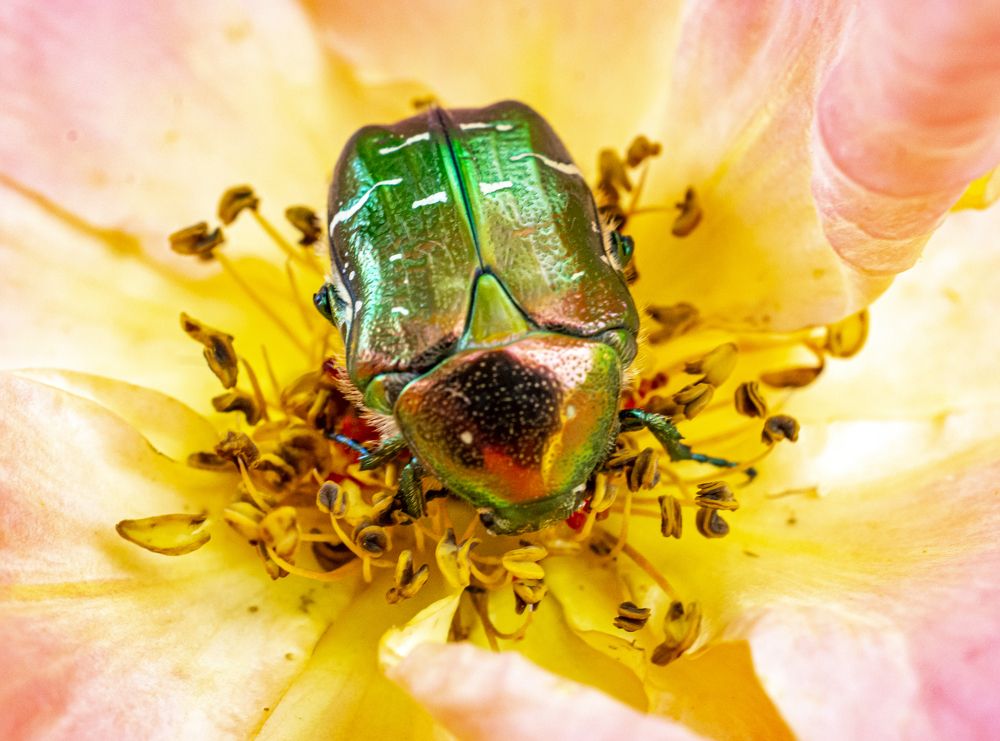 Photograph by Сергей Савчук