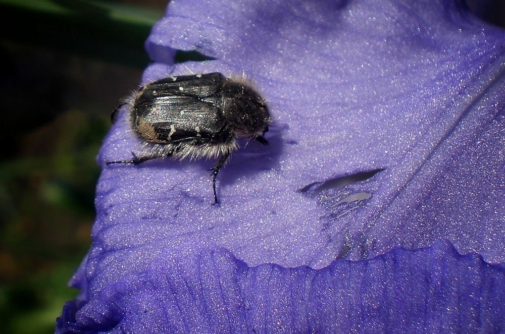 Фотография автора Роман Савоцкий
