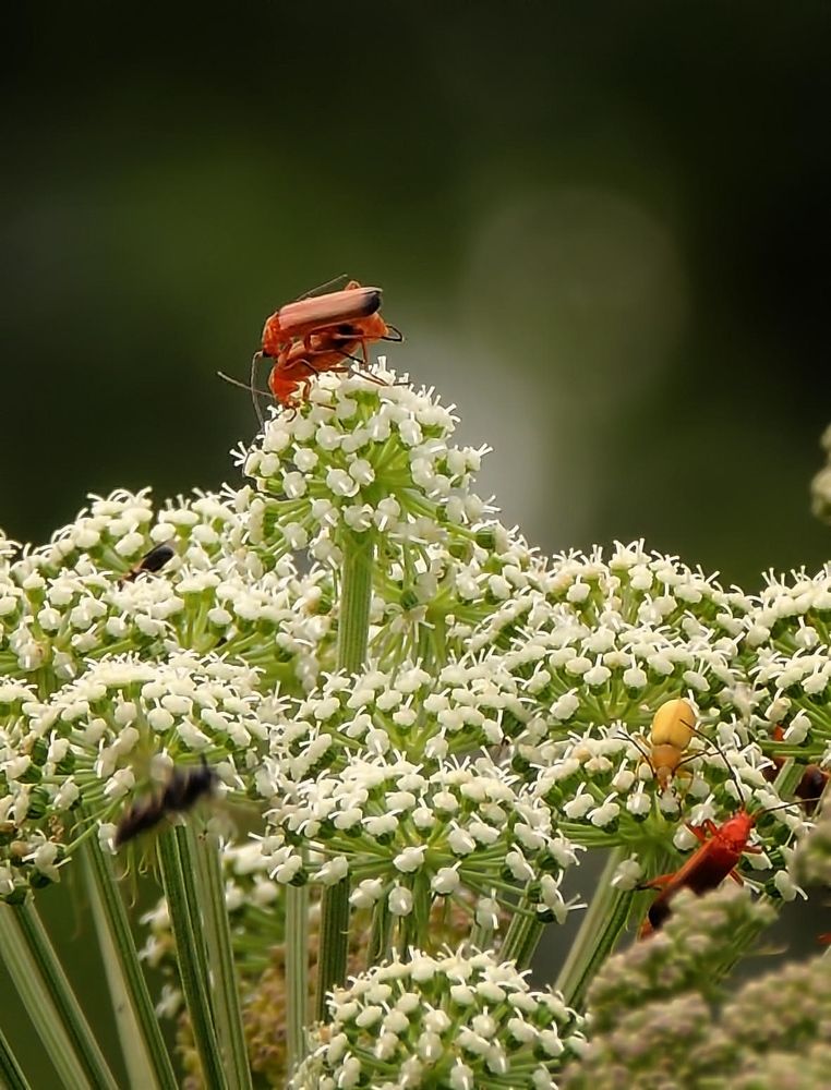 Фотография автора Роман Савоцкий