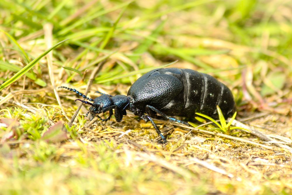 Photograph by Елена Верховская