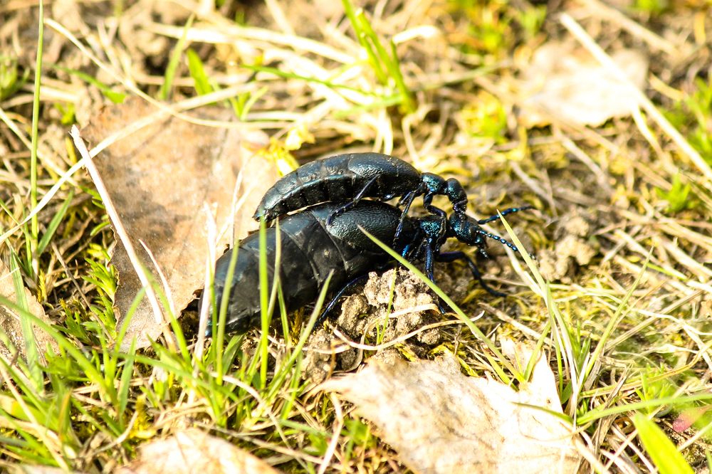 Photograph by Елена Верховская