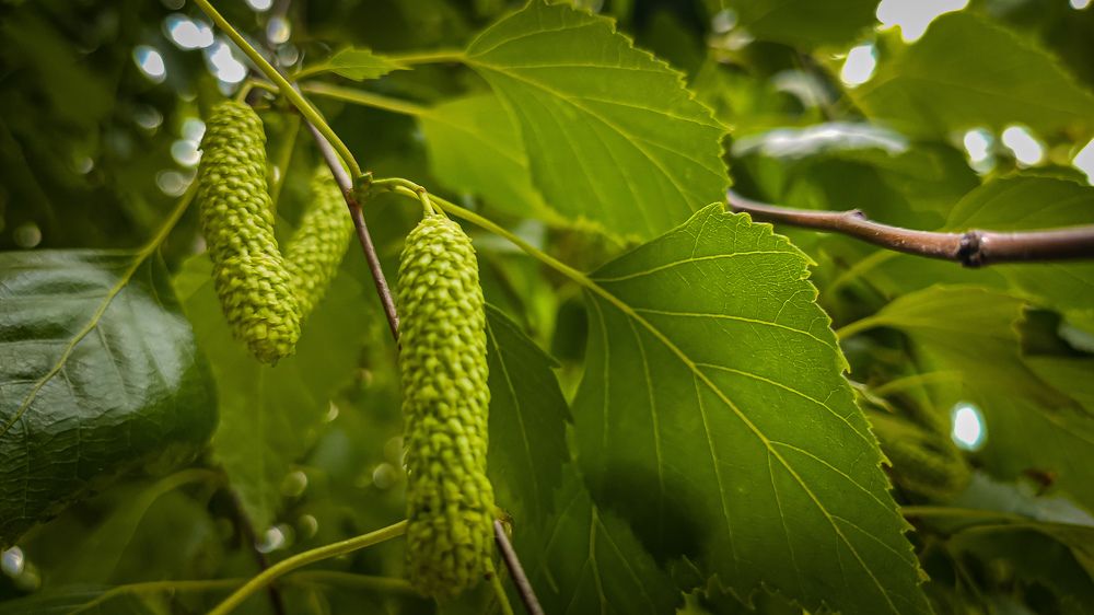 Фотография автора Кристина Шефер