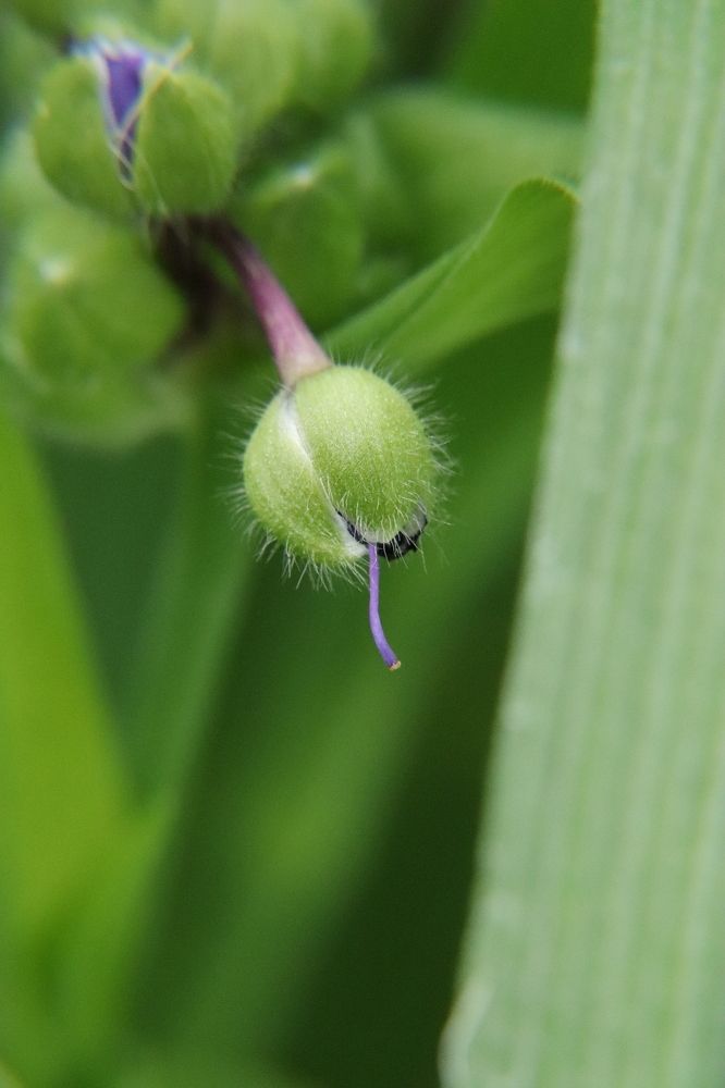 Photograph by Алексейчик Дмитрий