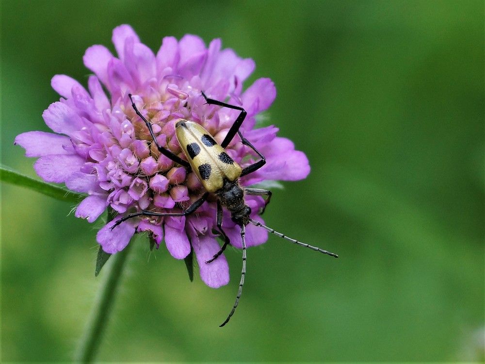 Photograph by Исаков Александр