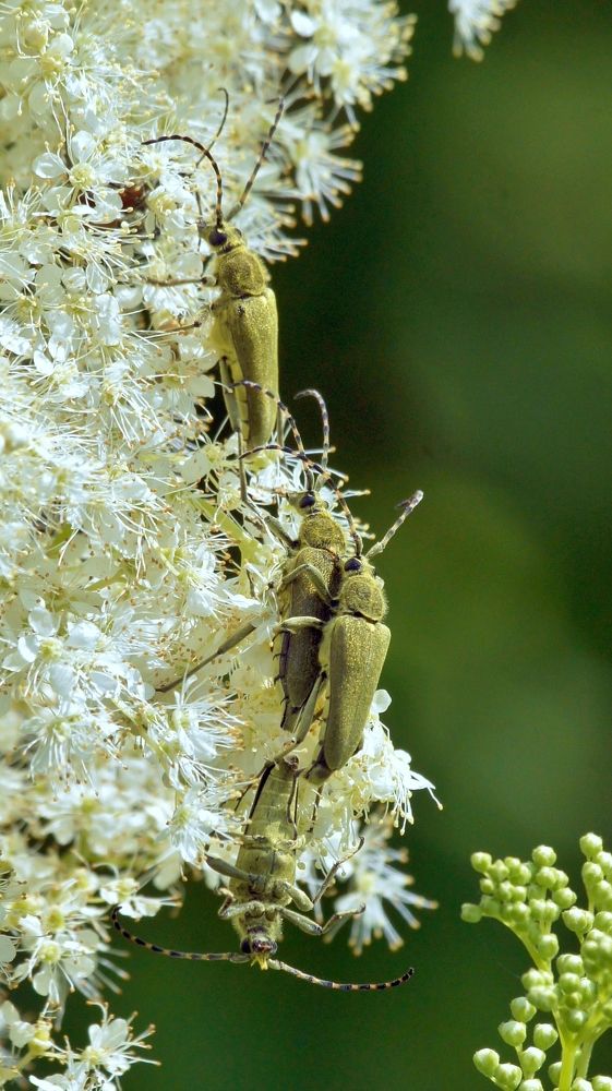 Photograph by Исаков Александр
