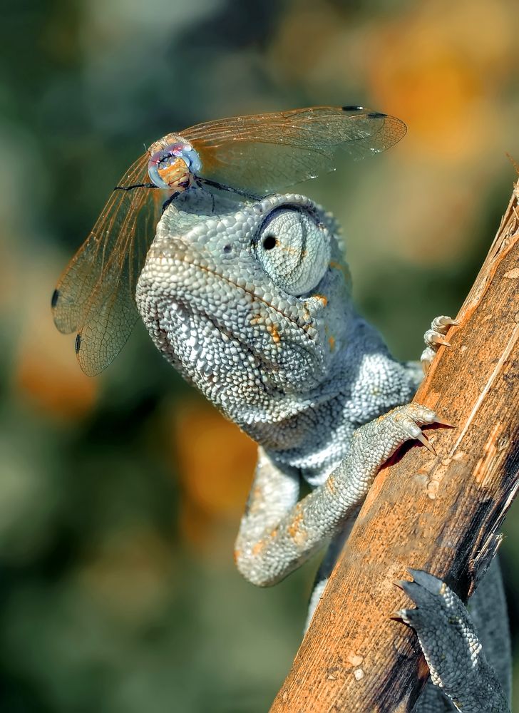 Photograph by Mustafa Öztürk