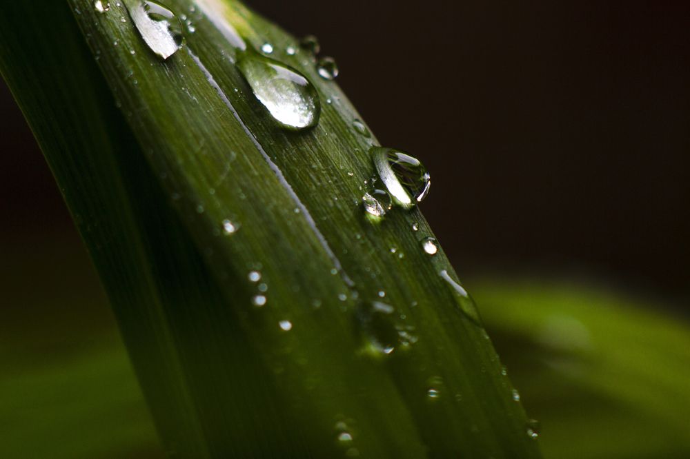 Photograph by Евгений Ермаков