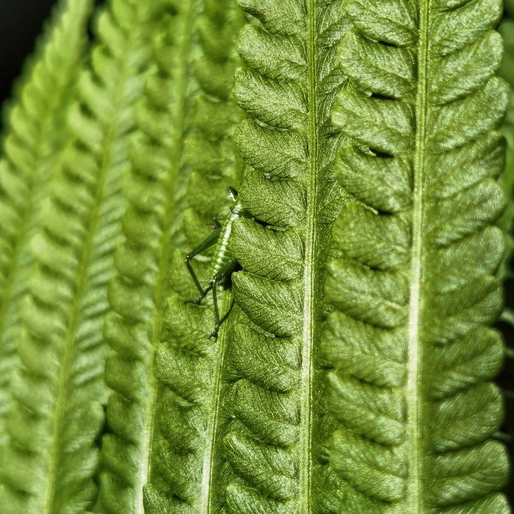 Photograph by Ольга