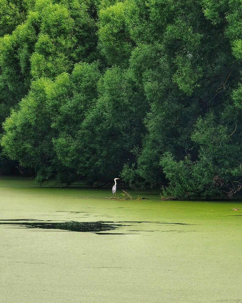 Photograph by Ольга