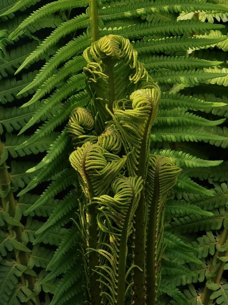 Photograph by Ольга