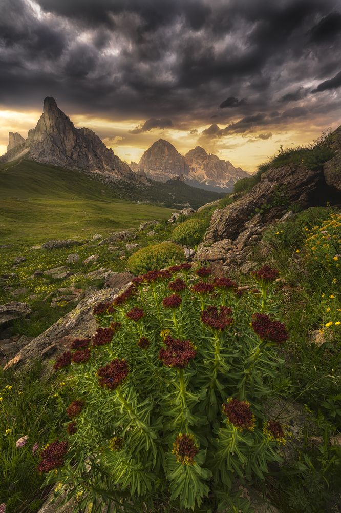 Photograph by Idan Livni