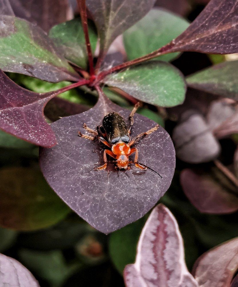 Photograph by Олика