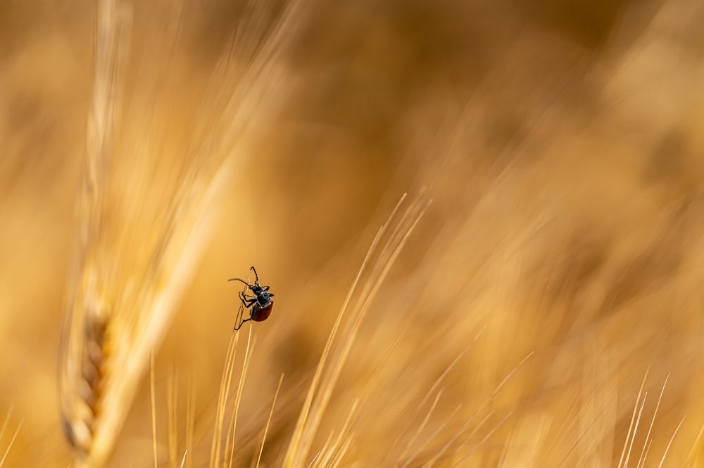 Photograph by Николай Фонарёв