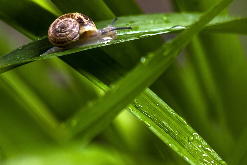 Photograph by Евгений Ермаков