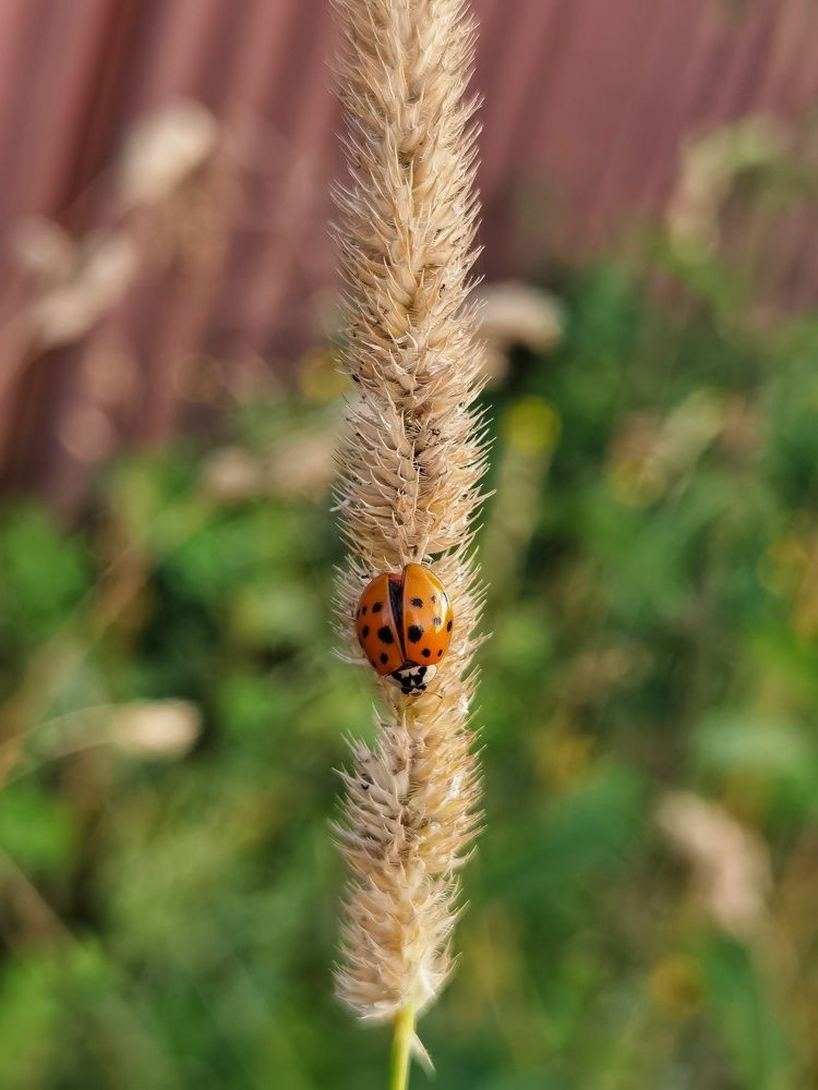 Photograph by Ольга