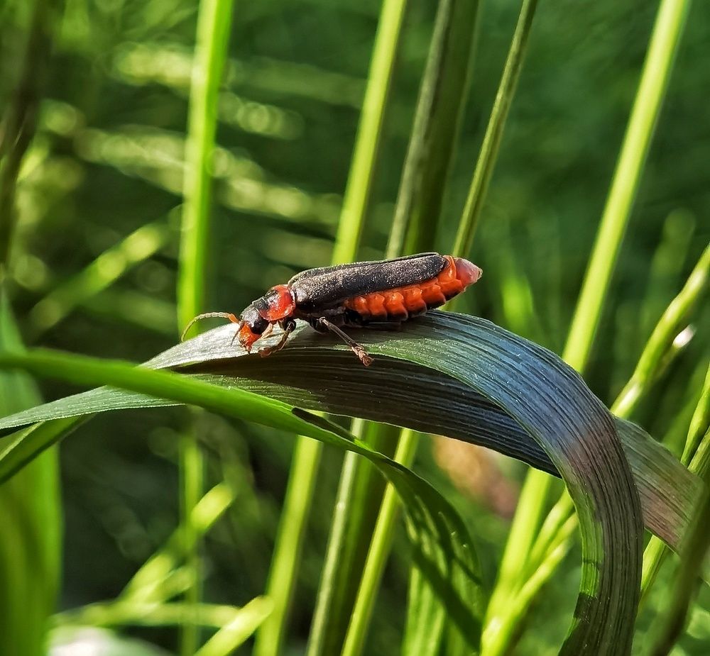 Photograph by Ольга