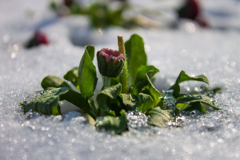 Photograph by Евгений Ермаков