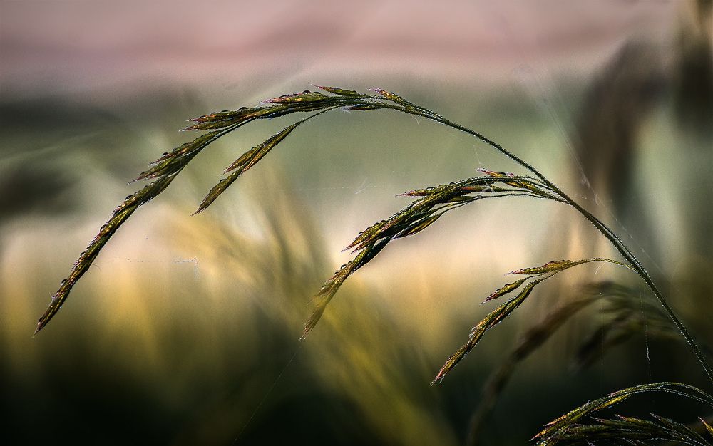 Photograph by Сергей Епишев