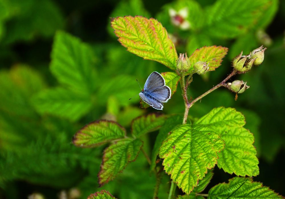 Photograph by Danyliuk Ruslan