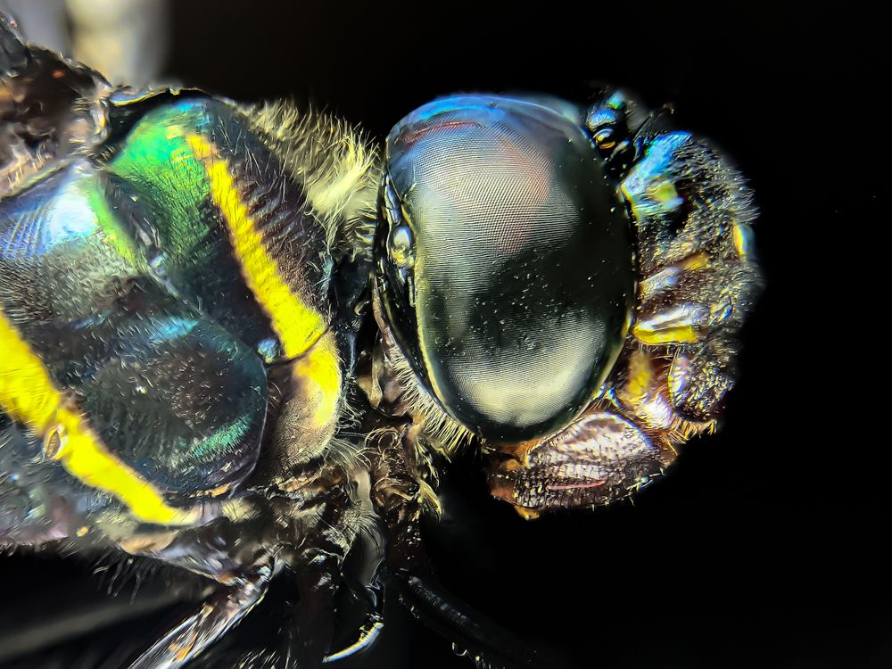 Photograph by Chamod Champika