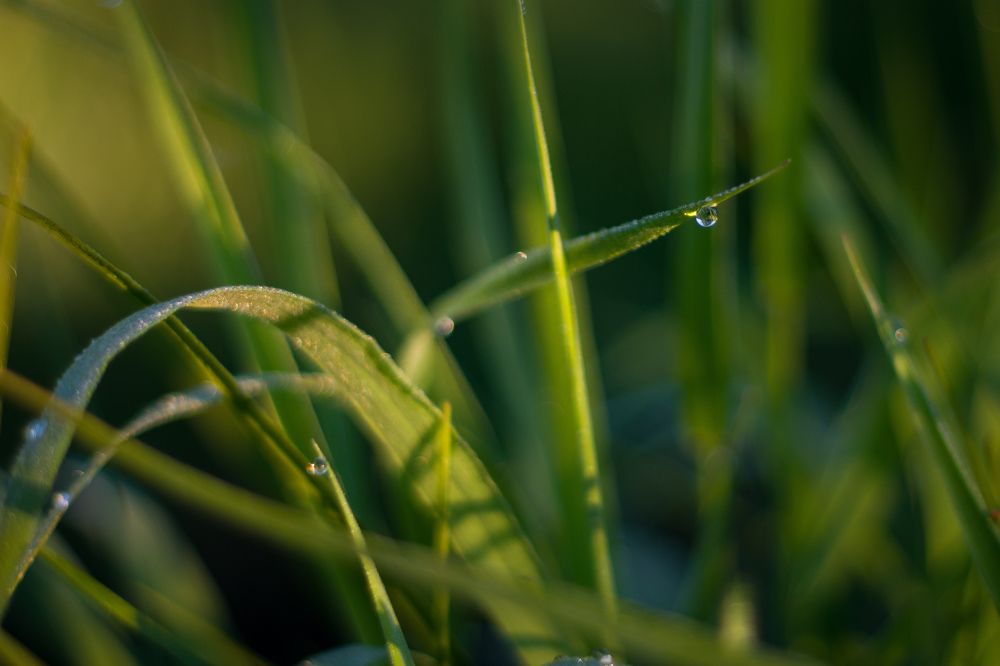 Photograph by Олег Бережных