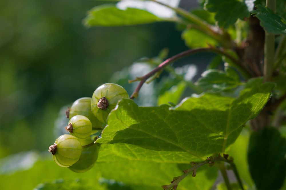 Photograph by Олег Бережных