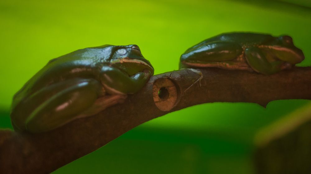 Photograph by Олег Бережных