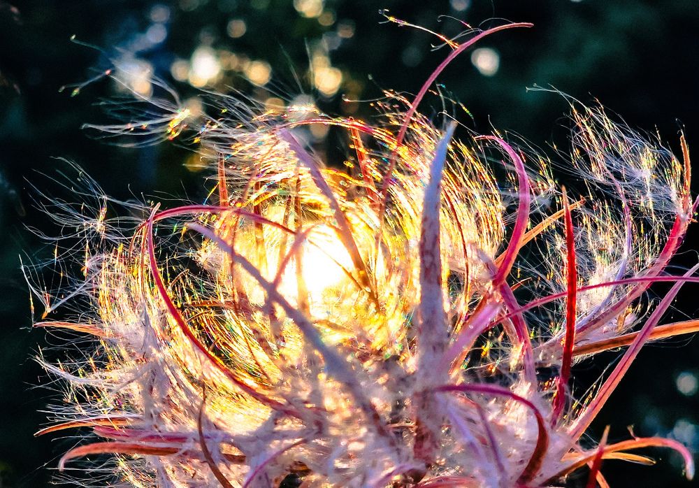 Photograph by Epp Tappel