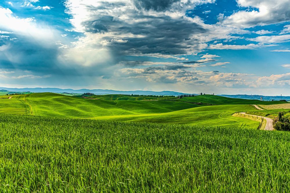 Photograph by Ludovit Repan